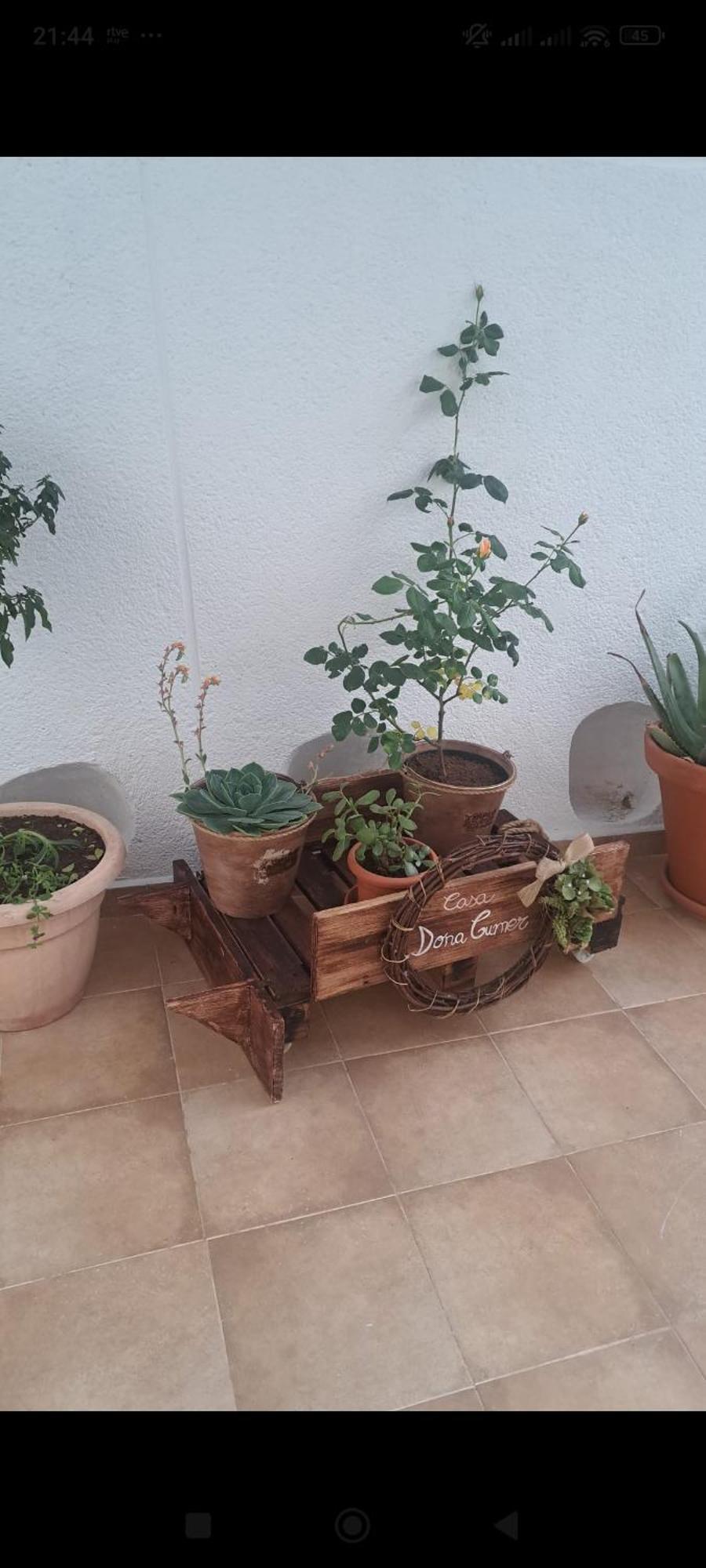 Casa Rural En San Carlos Del Valle- Dona Gumersinda Ngoại thất bức ảnh